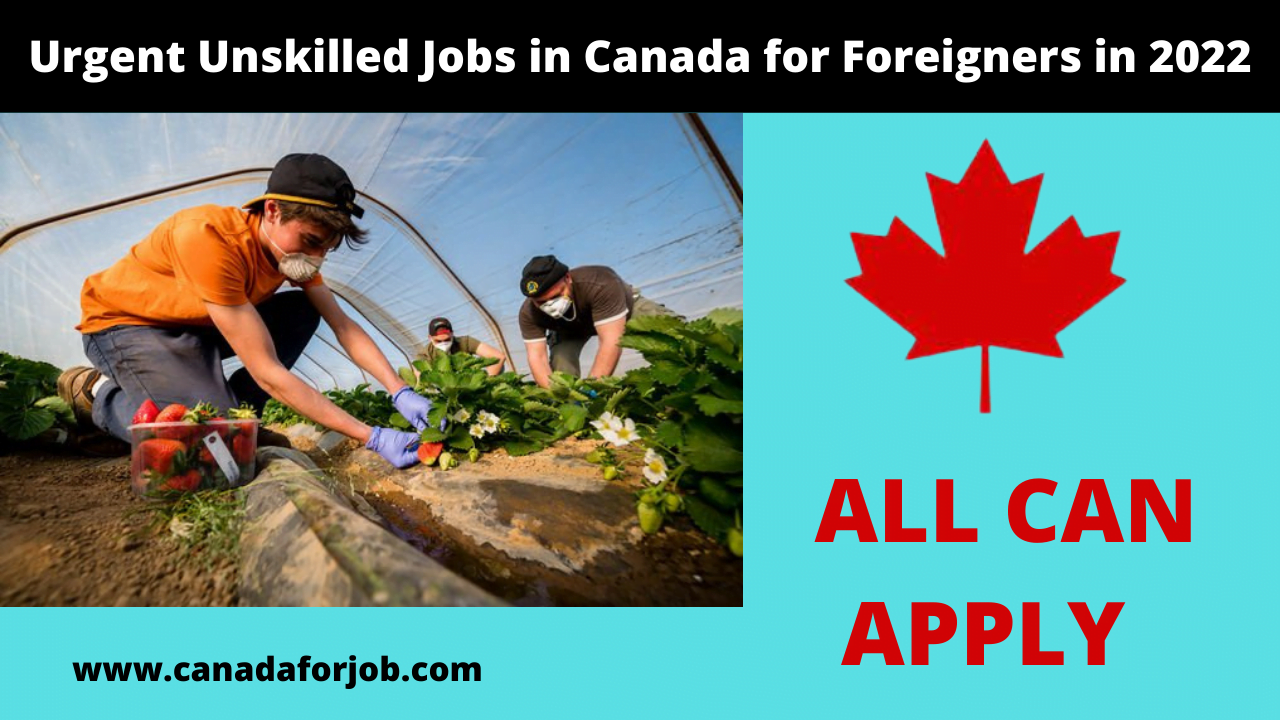 Urgent Unskilled Jobs in Canada for Foreigners in 2022