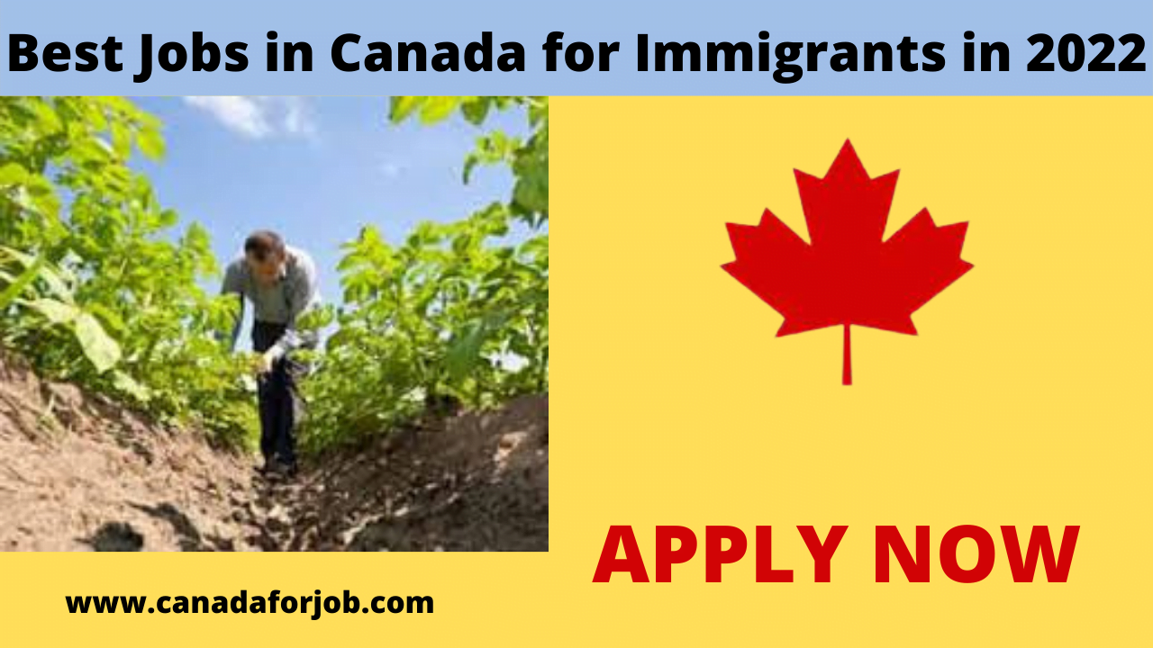 Best Jobs in Canada for Immigrants in 2022