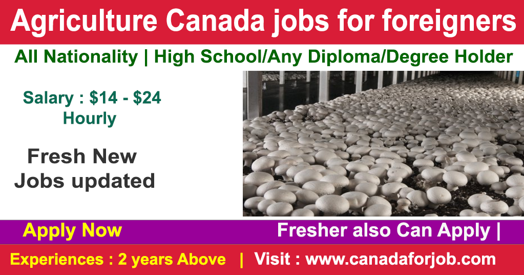 Agriculture Canada jobs for foreigners with Free Sponsor visa 2022