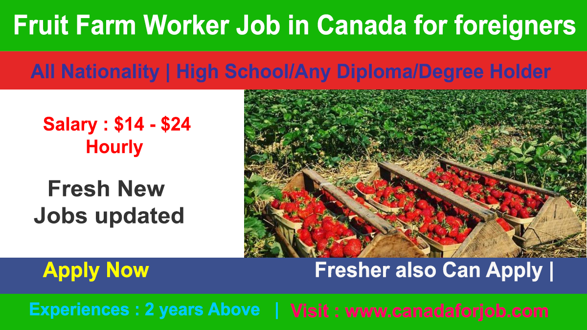 Fruit Farm Worker Job in Canada for foreigners with Exciting 1000+ Jobs