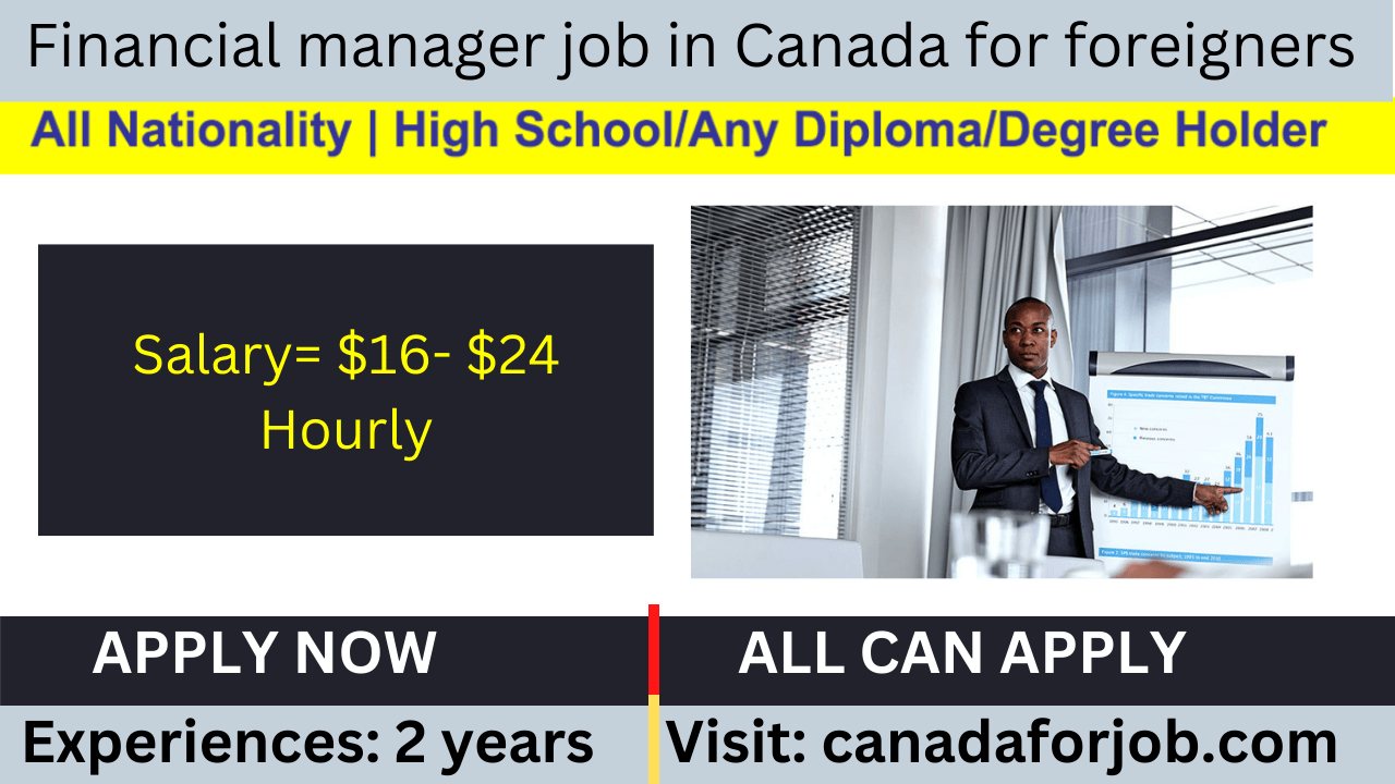 Financial manager job in Canada
