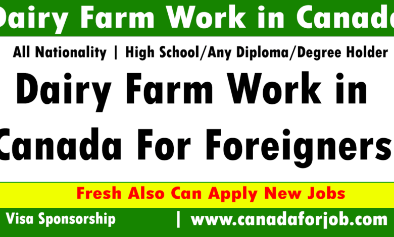 Dairy Farm Work in Canada For Foreigners 2023-2024